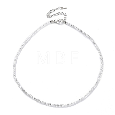 Glass Beaded Necklace NJEW-Z029-05X-1