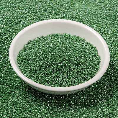 MIYUKI Round Rocailles Beads SEED-G009-RR0431-1