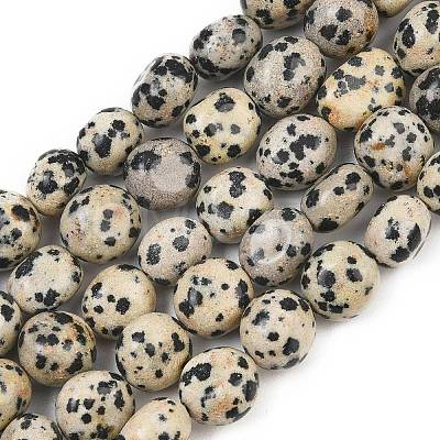 Natural Dalmatian Jasper Beads Strands GG-CBA787B-A11-1