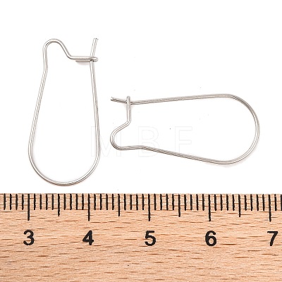 Tarnish Resistant 316 Surgical Stainless Steel Hook Earrings STAS-E009-5-1