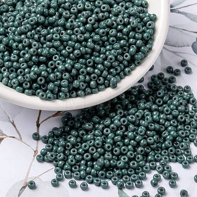 MIYUKI Round Rocailles Beads SEED-X0055-RR4481-1