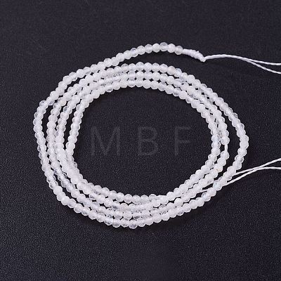 Natural White Moonstone Beads Strands G-J376-55-2mm-1