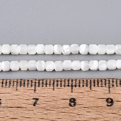 Natural Trochid Shell/Trochus Shell Beads Strands BSHE-T014-52A-01-1