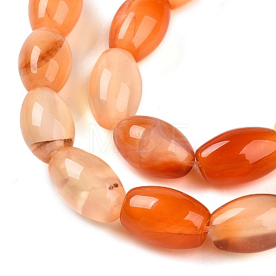 Dyed Natural Agate Beads Strands G-T141-15A-01-1