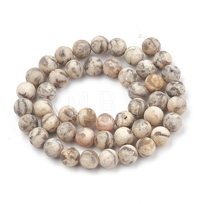 Natural Gemstone Beads Strands G-T106-242-1