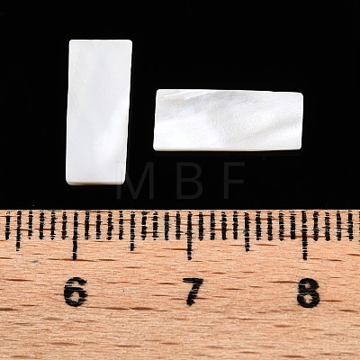 Natural White Shell Cabochons SSHEL-T017-07-1