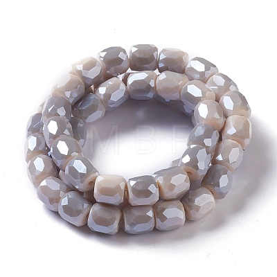 Electroplate Opaque Glass Beads GLAA-F108-10B-06-1