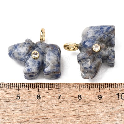 Natural Blue Spot Jasper Carved Pendants G-H357-02G-08-1
