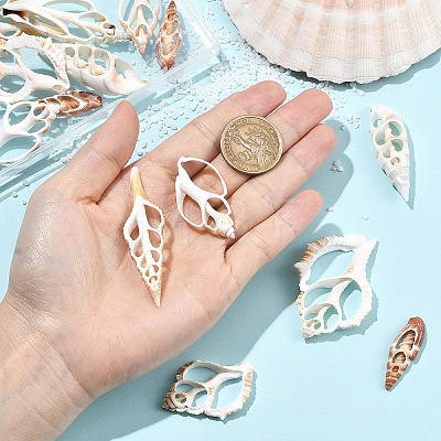 18Pcs 6 Styles Natural Shell Big Pendants BSHE-YW0001-20-1