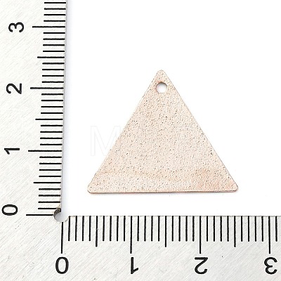 Geometric Alloy Sheet Printed Pendant Earrings Accessories PALLOY-E139-01G-04-1