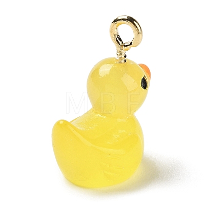 Luminous Opaque Resin Cartoon Pendants CRES-Z004-01D-G-1