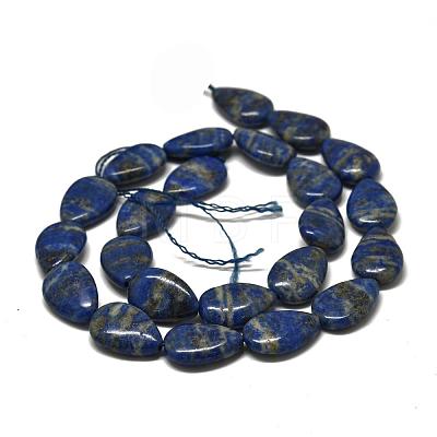 Natural Lapis Lazuli Beads Strands G-K311-03D-02-1