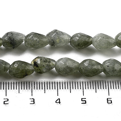 Natural Labradorite Beads Strands G-P520-B05-01-1