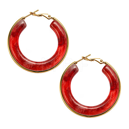 304 Stainless Steel Acrylic Hoop Earrings FS-WG57303-10-1