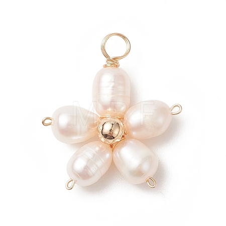 Natural Cultured Freshwater Pearl Pendants PALLOY-JF02024-1