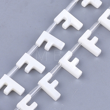 Freshwater Shell Beads X-SHEL-T012-59F-1