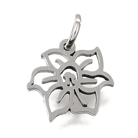 304 Stainless Steel Charms SA-CBA4CE0-01P-C-1