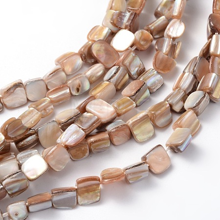 Erose Natural Shell Beads Strands X-PBB071Y-1