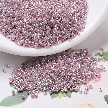 MIYUKI Delica Beads X-SEED-J020-DB0256-1