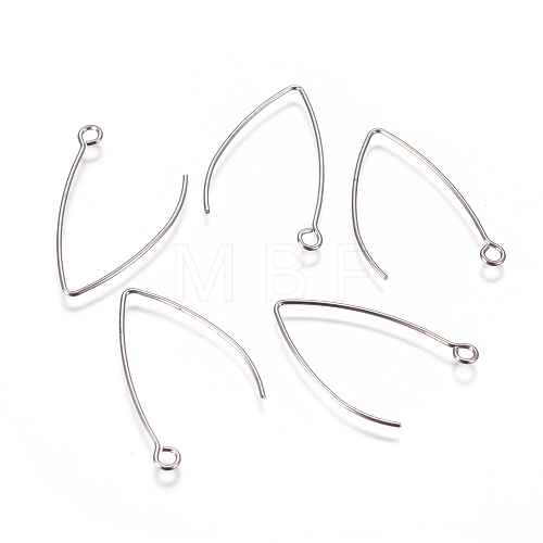 Tarnish Resistant 304 Stainless Steel Earring Hooks X-STAS-F227-26A-P-1