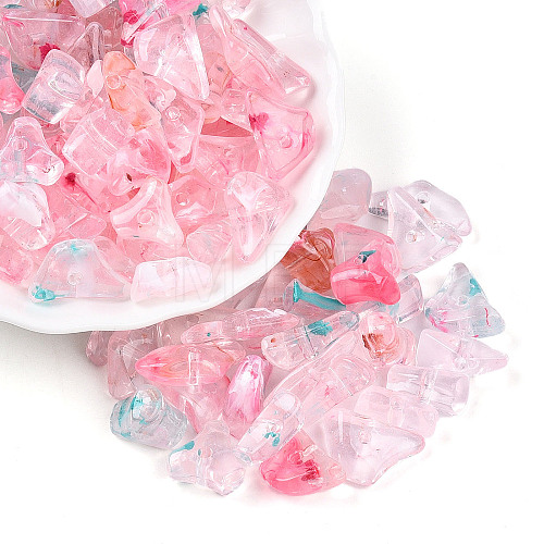 Transparent Acrylic Beads TACR-T028-37C-1