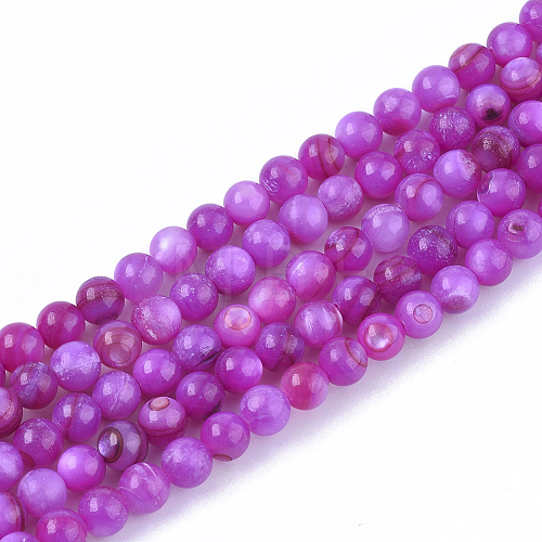 Freshwater Shell Beads Strands SHEL-S276-32F-1