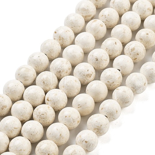 Natural Fossil Beads Strands G-H026-02D-1