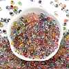6/0 Spray Paint Fringe Glass Seed Beads X1-SEED-H003-11H-3