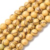 Synthetic Turquoise Beads Strands G-L605-G01-02C-2
