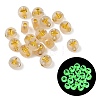 Luminous Transparent Acrylic Beads OACR-P037-01B-T-1