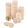 Unfinished Schima Wooden Round Pieces WOOD-WH0027-73-1