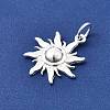 925 Sterling Silver Pendants STER-K188-14S-2