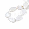 Natural Sea Shell Beads Strands SSHEL-Q296-43-4