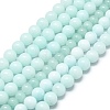 Natural Malaysia Jade Beads Strands G-L645-A01-6mm-31-1