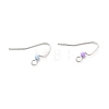 316 Surgical Stainless Steel Earring Hooks STAS-E044-02P-2