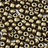 6/0 Glass Seed Beads SEED-S058-A-F216-3