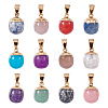 Yilisi 12Pcs 12 Style Top Golden Plated Natural Mixed Gemstone Pendants G-YS0001-19-7