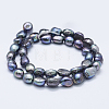 Natural Cultured Freshwater Pearl Beads Strands PEAR-K004-02B-2