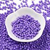 Baking Paint Glass Seed Beads SEED-H002-I-A505-2