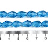 Transparent Glass Beads Strands EGLA-N013-T10mm-D17-4