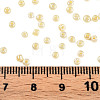 Glass Seed Beads SEED-A011-2mm-142-4