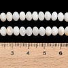 Natural Freshwater Shell Beads Strands SHEL-C010-04A-02-4