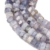 Natural Iolite Beads Strands G-G345-C06-2x4mm-4