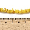 Natural Freshwater Shell Beads SHEL-B003-01A-3