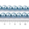 Shell Pearl Beads Strands BSHE-K015-10mm-02-2
