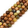 Natural Green Opal Beads Strands G-K245-A17-A04-1