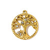 304 Stainless Steel Rhinestone Pendants STAS-OY009-92G-1