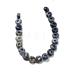 Natural Blue Spot Jasper Beads Strands G-P536-A11-01-3