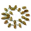 Natural Green Opal Beads Strands G-P607-A08-01-3
