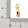 Rack Plating Brass Micro Pave Cubic Zirconia Charms KK-F881-03G-03-3